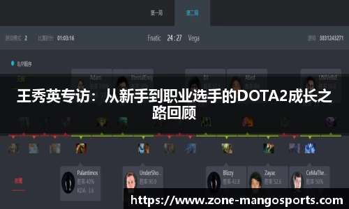 王秀英专访：从新手到职业选手的DOTA2成长之路回顾